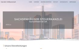 Gunzelmann & Coll. website screenshot
